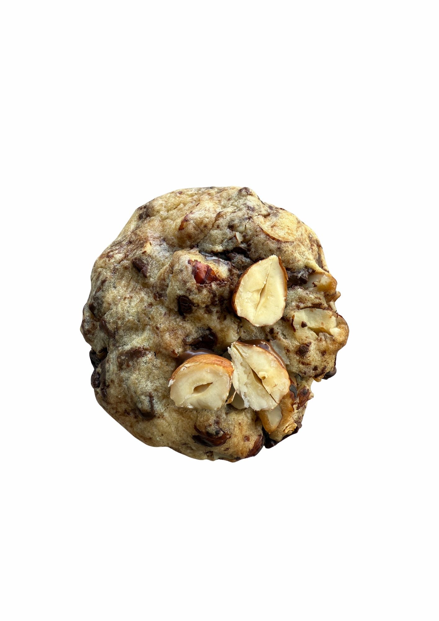 COOKIE CHOCOLAT NOIR NOISETTES